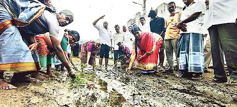 வேலூர் சங்கரன்பாளையத்தில் சேறும், சகதியுமான சாலையை சீரமைக்க வலியுறுத்தி நேற்று நாற்று நடும் போராட்டத்தில் ஈடுபட்ட பொதுமக்கள்.