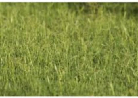 பிரதிநிதித்துவப் படம்