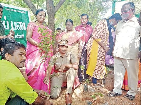 மதுரை ஒத்தக்கடை அரசு பெண்கள் மேல்நிலைப் பள்ளியில் மூலிகை பண்ணையைத் திறந்துவைத்து மூலிகை செடியை நடுகிறார் காவல்துறை கூடுதல் கண்காணிப்பாளர் வனிதா.