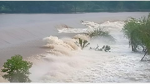 செல்லிப்பட்டு-பிள்ளையார்குப்பம் படுகை அணையில் உடைப்பு ஏற்பட்டுள்ள பகுதி.