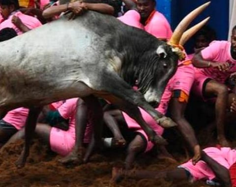 பிரதிநிதித்துவப் படம்