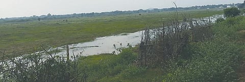 சிவகங்கை அருகே ஷீல்டு கால்வாய் மூலம் பயன்பெறும் கள்ளராதினிப்பட்டி கண்மாயில் குறைந்தளவே தண்ணீர் உள்ளது.