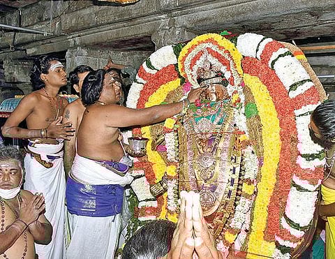 ஆருத்ரா தரிசனத்தையொட்டி, தி.மலை அண்ணாமலையார் கோயிலில் நேற்று சிறப்பு அலங்காரத்தில் எழுந்தருளிய நடராஜருக்கு தீப மையை சாற்றும் சிவாச்சாரியார். அடுத்தபடம்: ஆம்பூர் சமயவல்லி சமேத சுயம்பு நாகநாத சுவாமி கோயிலில் நேற்று நடராஜருக்கு சிறப்பு அபிஷேக, ஆராதனைகள் நடைபெற்றன.