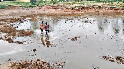கிருஷ்ணகிரி மாவட்டம் ஓசூர் அடுத்த முத்தாலியில் தடை செய்யப்பட்ட ஆப்ரிக்கன் கெளுத்தி மீன்கள் வளர்க்கப்பட்ட குட்டையில் பிளீச்சிங் பவுடர் தெளித்து மீன்களை அழிக்கும் பணியில் ஈடுபட்ட மீன்வளத்துறை ஊழியர்கள்.