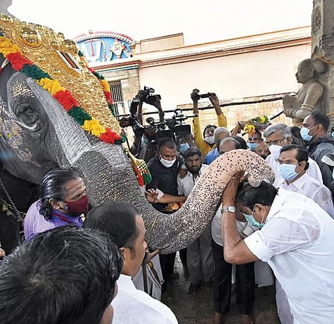 ரங்கம் கோயிலில் நேற்று தரிசனம் செய்த முதல்வர் பழனிசாமி, கோயில் யானை ஆண்டாளிடம் ஆசி பெற்றார். படம்: ஜி.ஞானவேல்முருகன்
