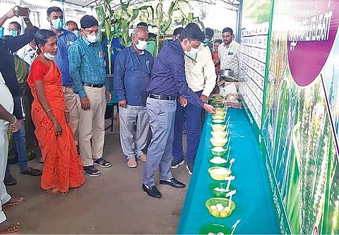 கள்ளக்குறிச்சி ஆட்சியர் வளாகத்தில் அமைக்கப்பட்டிருந்த மதிப்புக் கூட்டப்பட்ட சிறு தானிய உணவுகளை பார்வையிடும் ஆட்சியர் கிரன்குராலா.
