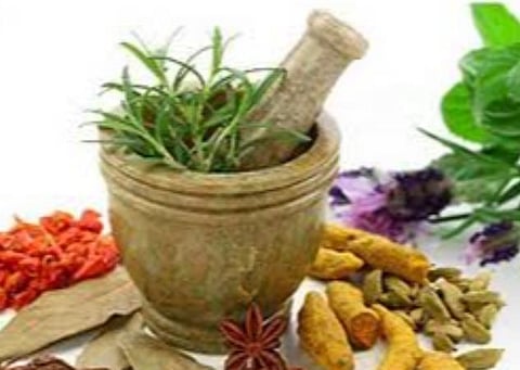 தேசிய சித்தா தினம் இன்று கொண்டாட்டம்