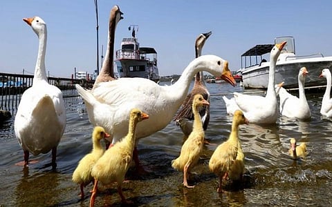 பிரதிநிதித்துவப் படம்: ஏஎன்ஐ