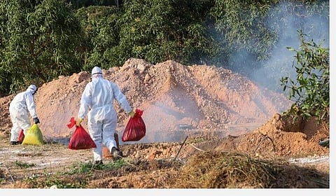 கோப்புப்படம்