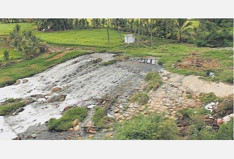 தேனி மாவட்டத்தில் சாயப்பட்டறைகளை மூடக் கோரி வழக்கு: மாசுக் கட்டுப்பாட்டு வாரியத் தலைவருக்கு உயர் நீதிமன்றம் நோட்டீஸ்