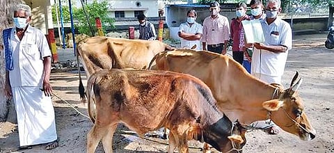 அலைபேசி கோபுரம் நிறுவ எதிர்ப்பு