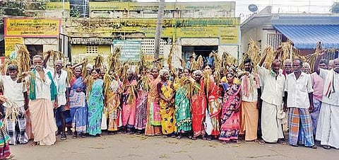 அழுகிய நெற்பயிர்களுடன் ஆர்ப்பாட்டத்தில் ஈடுபட்ட விவசாயிகள்.