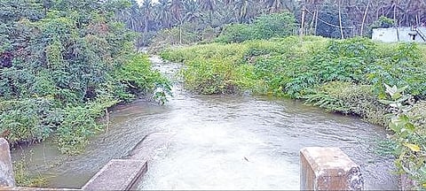 திருமூர்த்தி அணையிலிருந்து உப்பாறு அணைக்கு தண்ணீர் திறப்பு நிரந்தரத் தீர்வை ஏற்படுத்தவும் விவசாயிகள் வலியுறுத்தல்