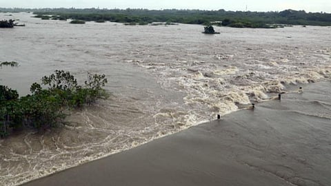 தாமிரபரணி ஆற்றில் கரைபுரண்டு ஓடும் 65 ஆயிரம் கன அடி: நூற்றுக்கணக்கான ஏக்கர் விளைநிலங்களில் தண்ணீர் புகுந்தது; கரையோர மக்கள் பாதுகாப்பான இடங்களுக்கு மாற்றம்