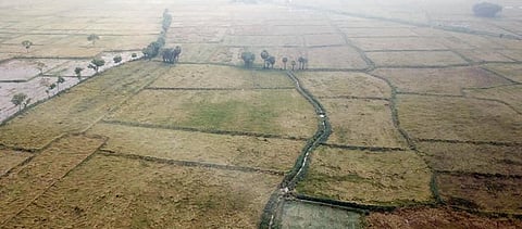 அரியலூர் மாவட்டம் தா.பழூர் அருகே கூத்தக்குடி கிராமத்தில் தொடர் மழையால் நீரில் மூழ்கி, சாய்ந்து கிடக்கும் நெற்பயிர்கள்.