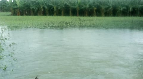 நெல்லை மாவட்டத்தில் வெள்ள சேதம்: அமைச்சர்கள் ஆய்வு