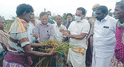 காளையார்கோவில் அருகே ஏரிவயலில் மழை நீரால் பாதிக்கப்பட்ட விளை நிலங்களைப் பார்வையிட்ட மாவட்ட ஆட்சியர் பி.மதுசூதன் ரெட்டி.