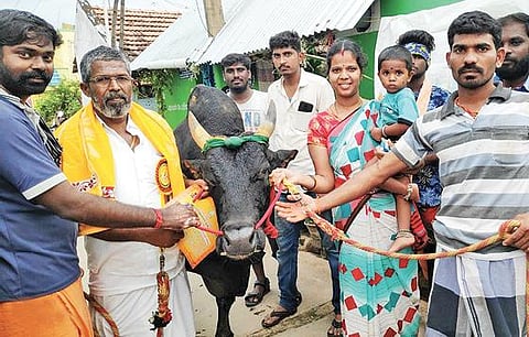 சிறந்த வீரருக்கு கார் பரிசு; சிறந்த காளைக்கு கன்றுடன் பசு பரிசு: பார்வையாளரை பரவசப்படுத்திய பாலமேடு ஜல்லிக்கட்டு