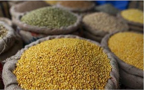 51.66 லட்சம் மெட்ரிக் டன் பருப்பு, எண்ணெய் வித்துக்கள் கொள்முதல்: மத்திய அரசு ஒப்புதல்