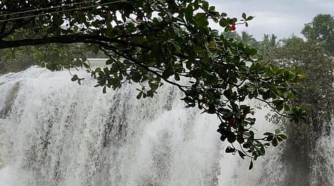 குமரியில் மழை நின்றதால் பேச்சிப்பாறை, பெருஞ்சாணி அணைகளில் வெள்ள அபாய நிலை நீங்கியது: உபரி நீர் தொடர்ந்து வெளியேற்றம்