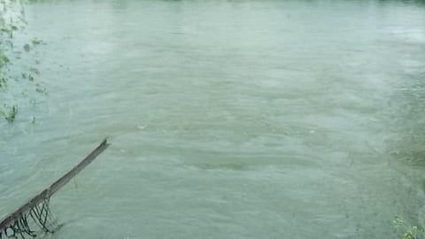 நெல்லை மாவட்டத்தில் தொடர் மழையால் 63 வீடுகள் இடிந்துள்ளன: தாமிரபரணியில் வெள்ளம் படிப்படியாக குறைகிறது