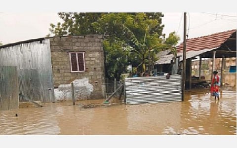 சாயல்குடி அண்ணா நகர் பகுதியில் குடியிருப்புகளை சூழ்ந்துள்ள மழைநீர்.