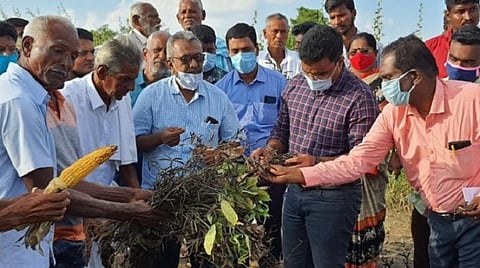 கோவில்பட்டி அருகே இடைசெவலில் உள்ள மானாவாரி நிலத்துக்கு சென்ற ஆட்சியர் செந்தில்ராஜிடம், மழையால் பாதிக்கப்பட்ட மானாவாரி பயிர்களை விவசாயிகள் காண்பித்தனர்.