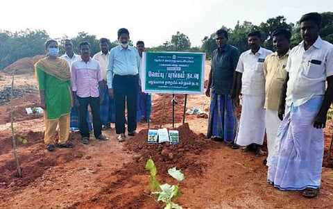 கடலூர் அருகே விலங்கல்பட்டு கிராமத்தில் வேளாண்துறை சார்பில் தரிசு நிலங்களில் வேம்பு, புங்கம் நடவு செய்யும் திட்டம் தொடங்கப்பட்டது.