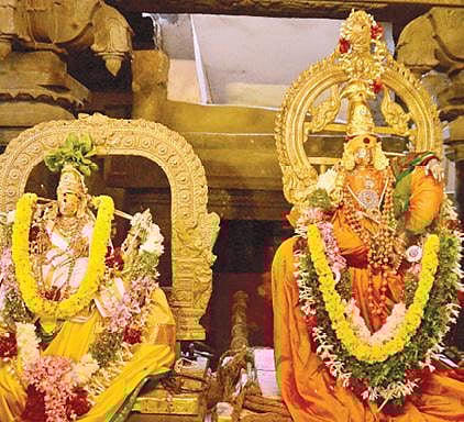 திருநெல்வேலி நெல்லையப்பர் கோயிலில் நேற்று நடைபெற்ற நெல்லுக்கு வேலியிட்ட திருவிளையாடல் வைபவத்தில், சுவாமியின் முன் வைக்கப்பட்டிருந்த நெல்மணிகளை தூவி, வணங்கிய பக்தர்கள். (அடுத்தபடம்) விழாவின்போது காந்திமதி அம்பாளுடன் எழுந்தருளிய சுவாமி நெல்லையப்பர். படங்கள்: மு.லெட்சுமி அருண்