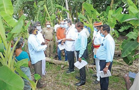 கண்டமங்கலம் ஊராட்சி ஒன்றியத்திற்குட்பட்ட கலிஞ்சிகுப்பம் கிராமத்தில் ‘நிவர்’ புயலால் சேதமடைந்த வாழை தோட்டத்தை தேசிய பேரிடர் மேலாண்மை ஆணைய கூடுதல் செயலாளர் திருப்புகழ் தலைமையிலான குழுவினர் ஆய்வு மேற்கொண்டனர்.