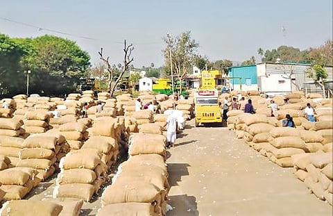 வாழப்பாடி வேளாண் உற்பத்தியாளர் கூட்டுறவு விற்பனை சங்கத்துக்கு ஏல விற்பனைக்கு விவசாயிகள் கொண்டு வந்த பருத்தி மூட்டைகள் அடுக்கி வைக்கப்பட்டுள்ளன.