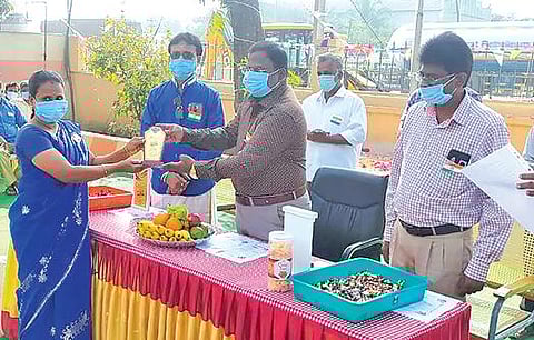 மக்கும் குப்பையை உரமாக்கி தோட்டம் அமைத்த இல்லத்தரசிகள்