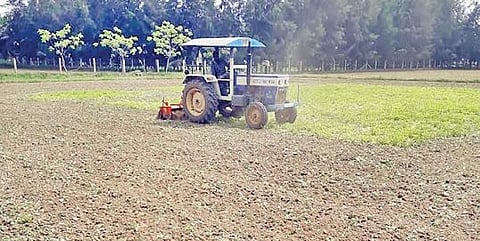 தஞ்சாவூர் மாவட்டம் பேராவூரணி உடையநாடு கிராமத்தில் நிலக்கடலை பயிரிடப்பட்டு மழையால் பயிர் பாதிக்கப்பட்டதால், அந்த வயலில் மறுசாகுபடியை தொடங்க டிராக்டர் மூலம் உழவு செய்யும் விவசாயி.