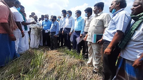 ஆய்வின்போது மாவட்ட ஆட்சியர் கோவிந்த ராவ், வேளாண்துறை இணை இயக்குநர் ஜஸ்டின் உள்ளிட்ட அதிகாரிகள் உடனிருந்தனர்.