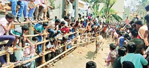 திருப்பத்தூர் அடுத்த பா.முத்தம்பட்டி கிராமத்தில் நேற்று நடைபெற்ற எருது விடும் விழாவில் சீறிப்பாய்ந்து ஓடிய காளை.