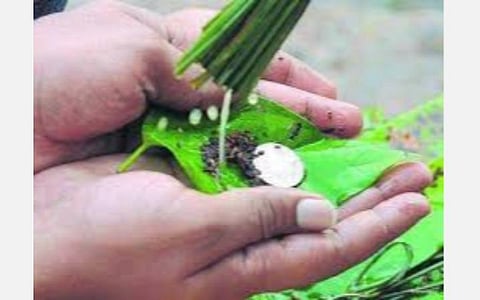 நம்மை தேடி வரும் பித்ரு வழிபாட்டு பலன்கள்!