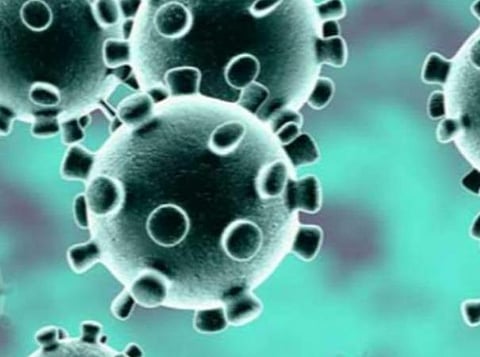 பிரதிநிதித்துவப் படம்