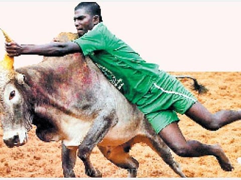 பிரதிநிதித்துவப் படம்.