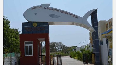 வேலைவாய்ப்பு தகவல்கள்: தமிழ்நாடு மீன்வள பல்கலைக்கழகம்