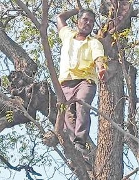 மரத்தில் ஏறி தற்கொலைக்கு முயன்ற தமிழரசன்.