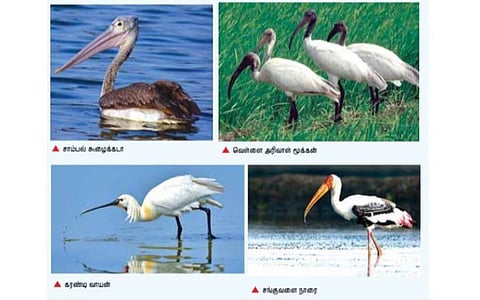 ராமேசுவரம்