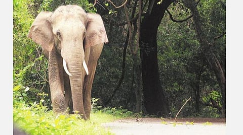 கோப்புப்படம்