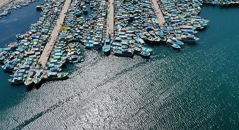 ஆர்.கே.நகர் தொகுதியின் முக்கிய அடையாளமான தமிழகத்தின் மிகப்பெரிய மீன்பிடி துறைமுகமான காசிமேடு.