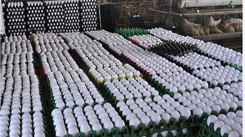 94 - நாமக்கல்