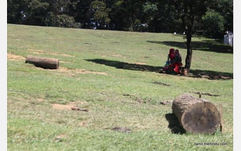 109 - கூடலூர்(தனி)