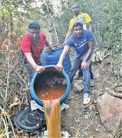 கல்வராயன்மலையில் பதுக்கி வைக் கப்பட்டிருந்த கள்ளச்சாராயத்தை அழிக்கும் போலீஸார்.