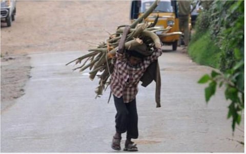 அதிகரித்து வரும் குழந்தைத் தொழிலாளர்கள்: கல்வித் துறைக்குப் பெரும் சவால்!