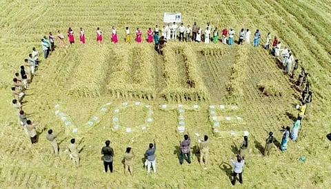 அம்பாசமுத்திரத்தில் வயல்வெளியில் நடைபெற்ற வாக்காளர் விழிப்புணர்வு நிகழ்ச்சி.