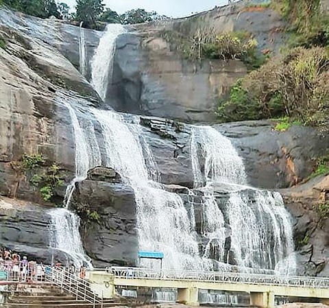 குற்றாலத்தில் நேற்றுமுன்தினம் பெய்த பலத்த மழையால் அருவிகளில் வெள்ளப்பெருக்கு ஏற்பட்டிருந்தது. இந்நிலையில் நேற்று காலையில் நீர்வரத்து குறைந்ததால் அருவிகளில் சுற்றுலா பயணிகள் குளிக்க அனுமதிக்கப்பட்டனர்.