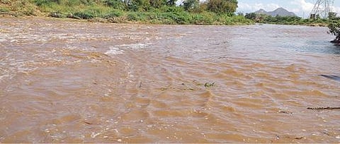 தேனி மாவட்டம் மேற்குத் தொடர்ச்சி மலைப் பகுதியில் பெய்த திடீர் கனமழையால் மூல வைகையில் வெள்ளப்பெருக்கு ஏற்பட்டுள்ளது. இடம்: துரைராஜபுரம்.